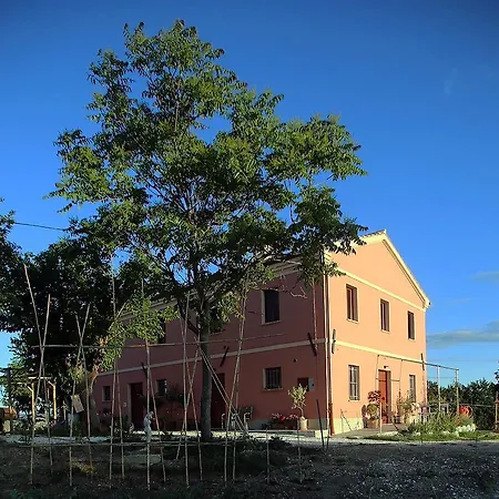 Quindici Alberi * Serra deʼ Conti