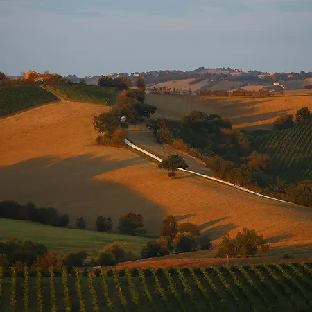 Quindici Alberi Serra deʼ Conti