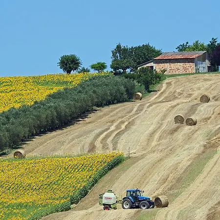Quindici Alberi *