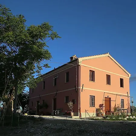 Quindici Alberi