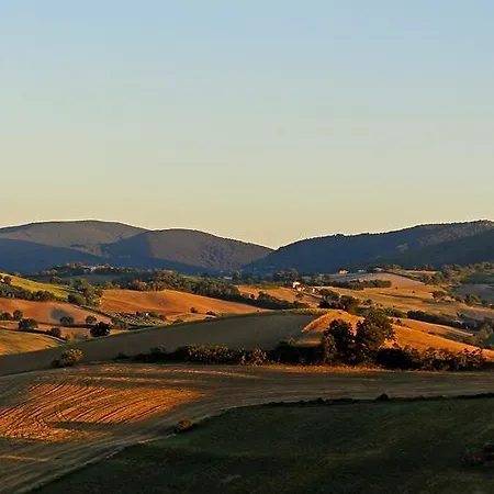 Quindici Alberi * Serra deʼ Conti