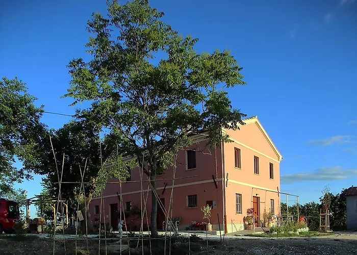 Quindici Alberi * Serra de' Conti