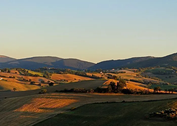 Quindici Alberi * Serra de' Conti